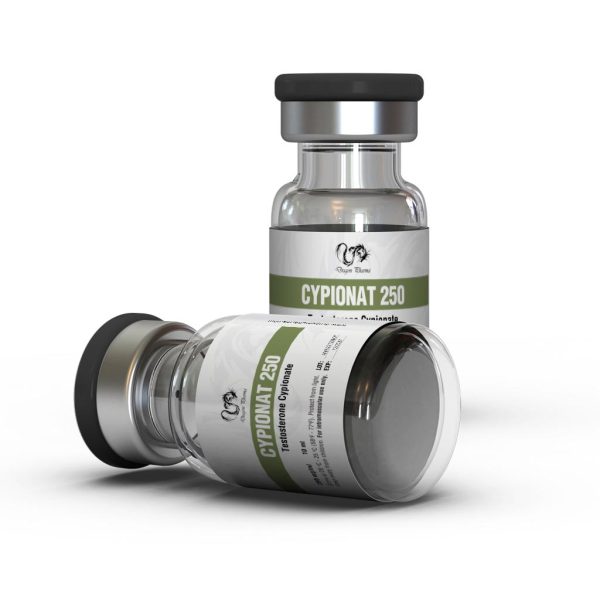 Testostérone Cypionate – Dragon Pharma - 250mg/mL