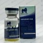 Sustanon – Baboon Pharma - 250mg/mL