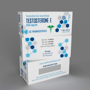 Testosterone Enanthate – Ice Pharma - 250mg/mL