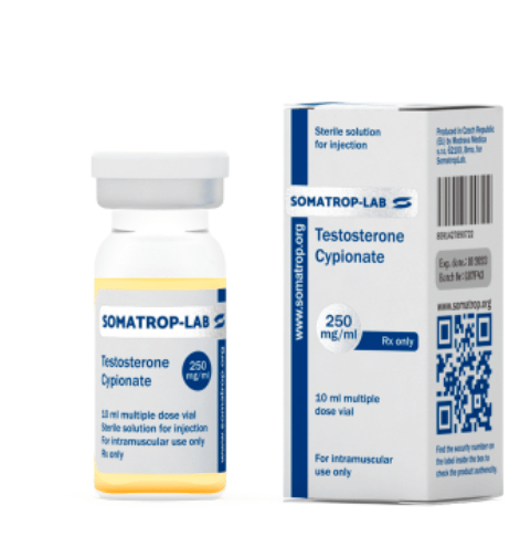 Testostérone Cypionate – Somatrop Lab - 250mg/mL